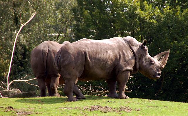 dierentuin emmen_0938